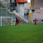 Triestina-Tamai 07-12-2014.-12