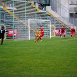 Triestina-Tamai 07-12-2014.-17