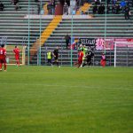 Triestina-Tamai 07-12-2014.-6