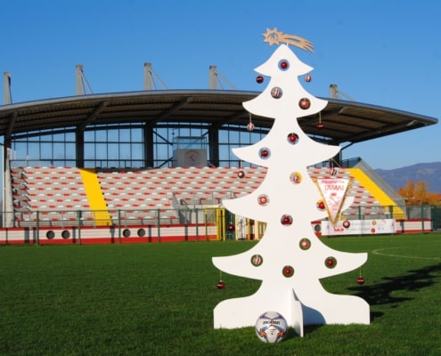 Albero di natale al Comunale
